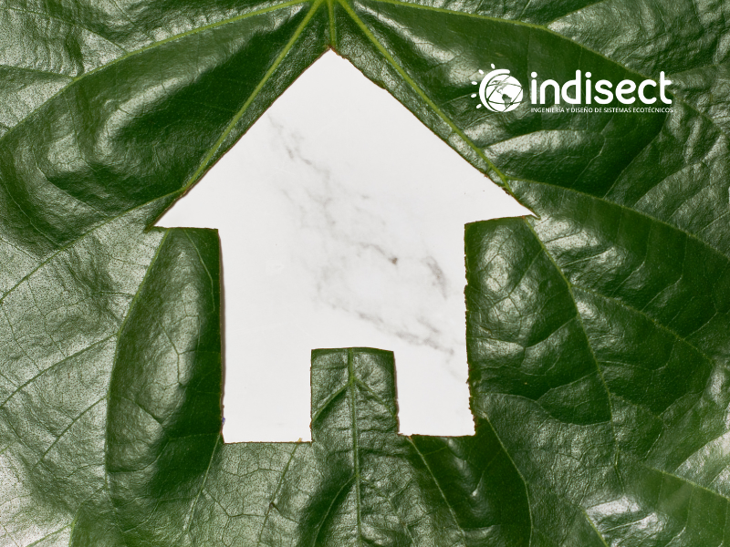 Casa sustentable - indisectt