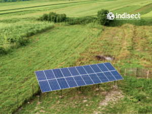 paneles solares indisect